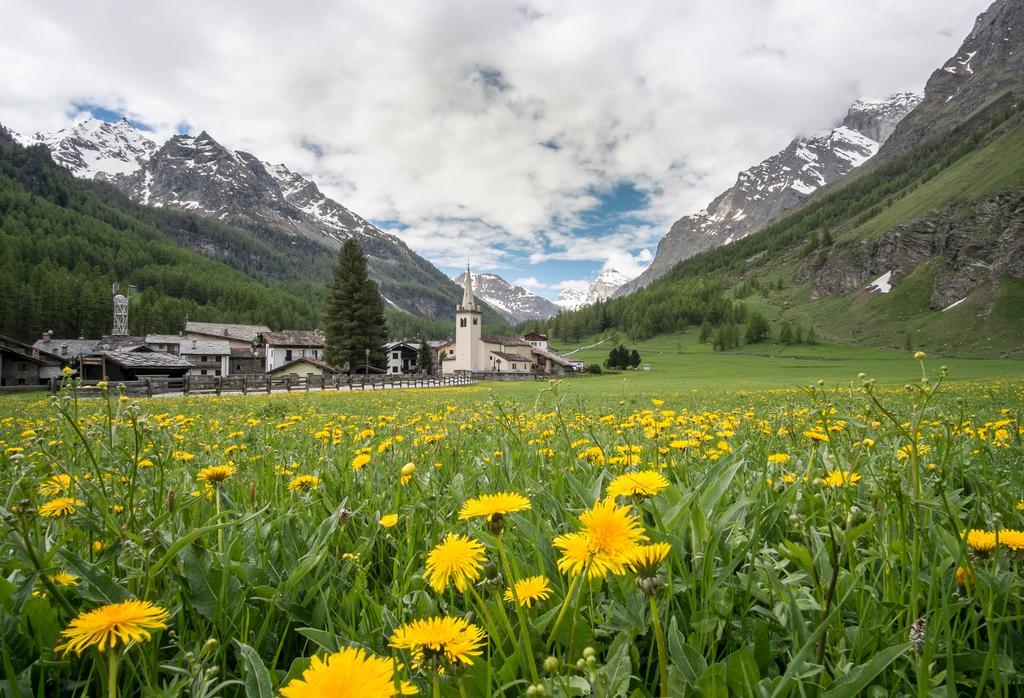 Case Gran Paradiso Rhemes Notre Dame 外观 照片